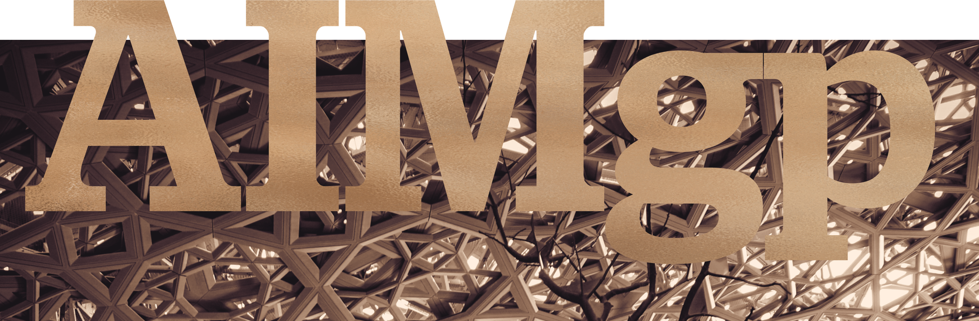 AIMgp - Winning Platform