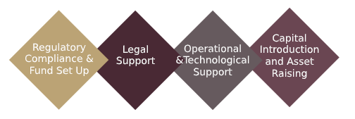 AIMgp Services