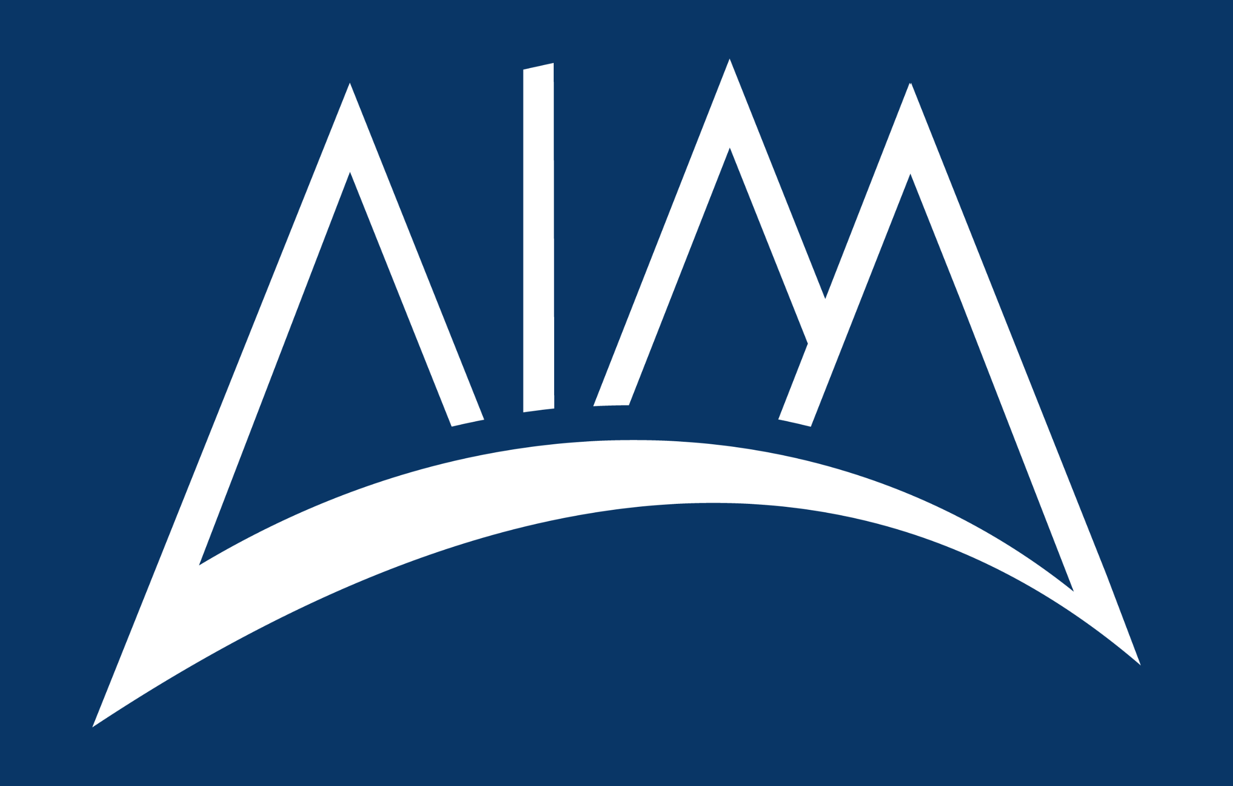 AIM Summit